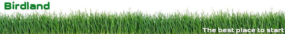 Birdland
